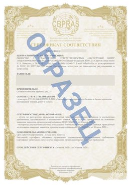 Образец Сертификат СТО 01.064.00220722.2-2020 Аэропорт "Домодедово" Сертификат СТО 01.064.00220722.2-2020 